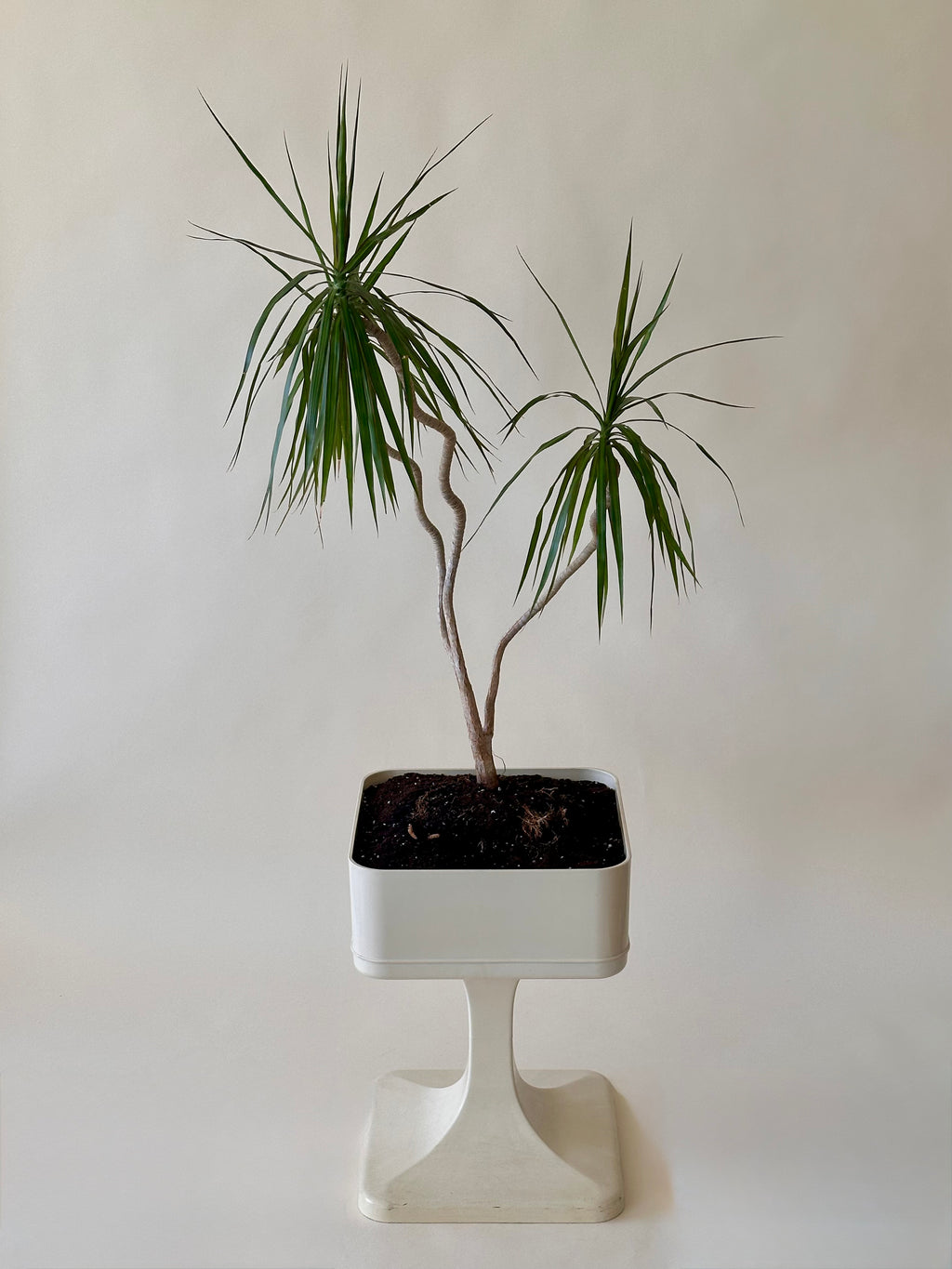 Pot à fleurs Space Age par Luigi Colani pour Sulo Caroline, fabriqué en allemande