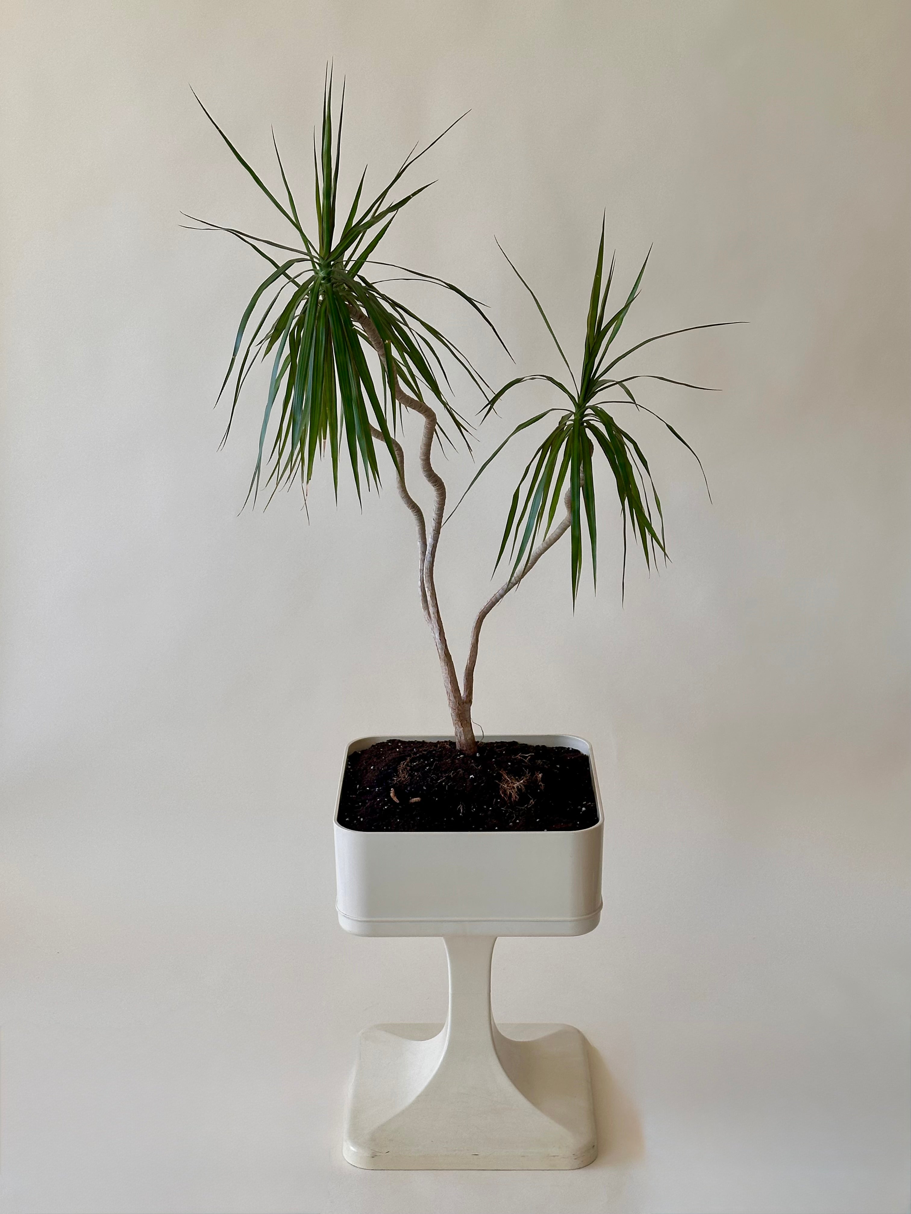 Pot à fleurs Space Age par Luigi Colani pour Sulo Caroline, fabriqué en allemande