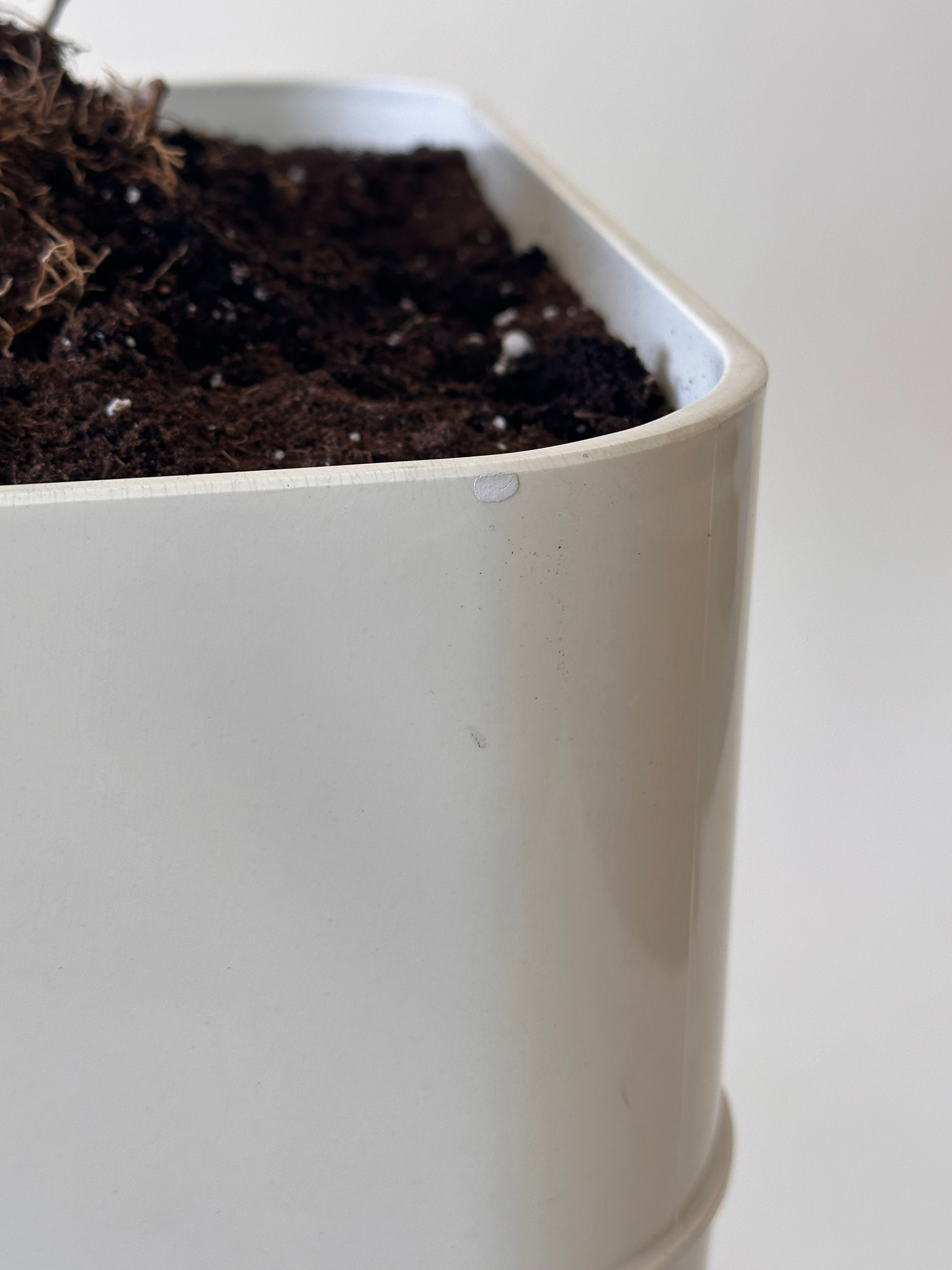 Pot à fleurs Space Age par Luigi Colani pour Sulo Caroline, fabriqué en allemande