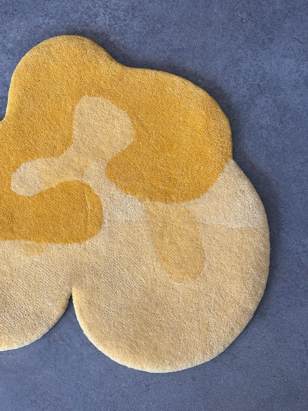 Tapis en laine "Fruitloop" par Rashelle Campbell, 2023