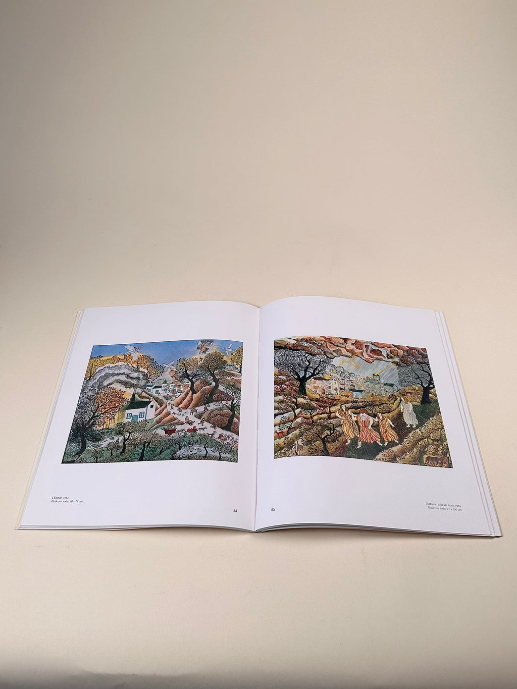 Livre "L’art naïf et l’art des enfants" par Anne Devroye- Stilz, Arlette Rey- Pieferd et Pierre Ébéli, 1994
